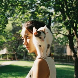 妖猫传还原了大唐盛世,我却更想知道为什么猫系女生如今更受欢迎