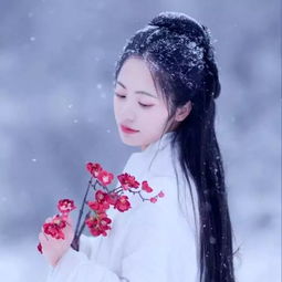 藜藿雪来时,如同你也来外一首诗歌