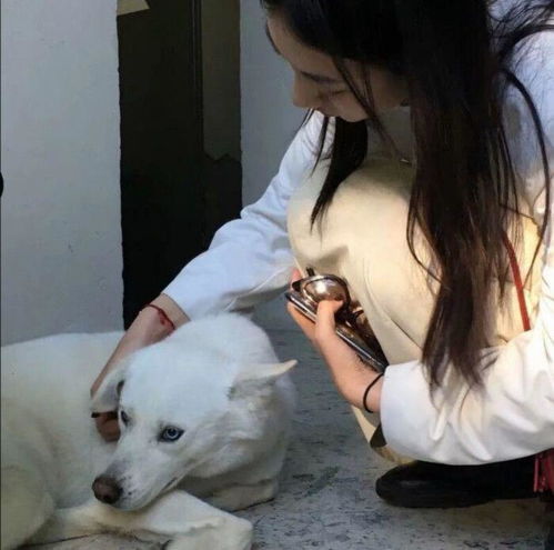 有没有一些有人有猫的女生头像
