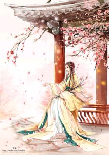 求制作一张小说封面,人物没什么要求,可以是一个古代美女,或者一对古代情侣书名绝色召唤师,呆萌
