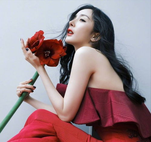 美女图杨幂