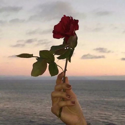 感觉,是靠不住的,难以永恒女人