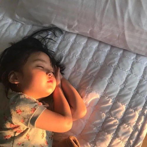 头像短句夏天相遇夏天结束愿你下个夏天还在