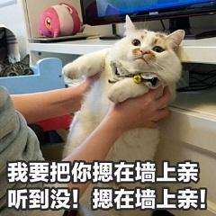 撩女友专用表情包,我帅我先睡了