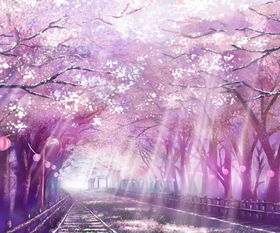 紫色花图片