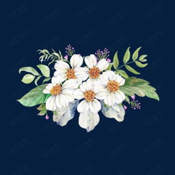 白色唯美鲜花素材图片免费下载高清图片png千库网图片编号7402823