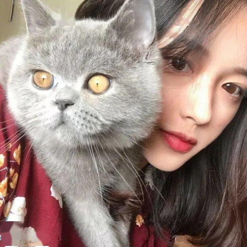 女生和蓝猫的头像褪色