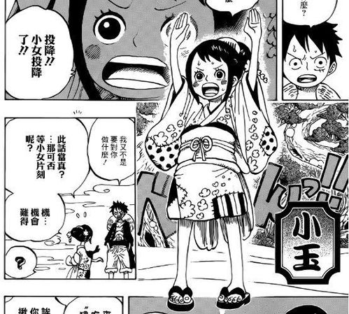 海贼王草帽团第11人已登场,是位美女忍者,有理有据,不服来辩