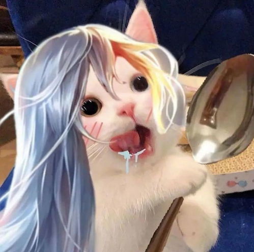 王者荣耀猫头第37期小乔猫咪女生头像,女孩子最喜欢干饭什么的啦