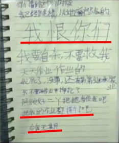 把我的作业都撕了女童跳楼亡遗书写我恨你们