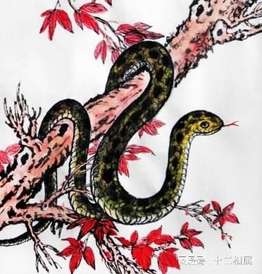 下周开始迎好运加持,锦鲤翻身,事业突破,财帛入账的生肖生肖狗生肖蛇网易订阅