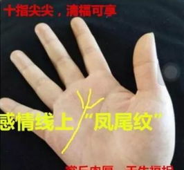 从手纹来看,这是福泽深厚之人,命格有贵人,大富大贵