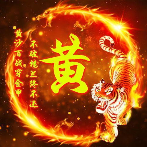 拿这些老虎做微信头像,写有你的姓氏,霸气外显