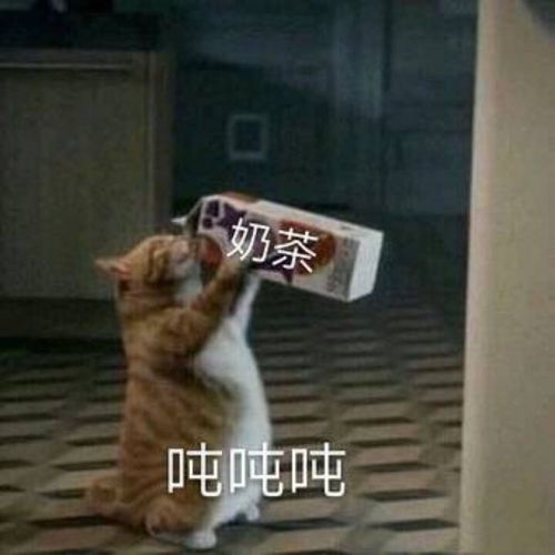 超沙雕搞笑空间动态