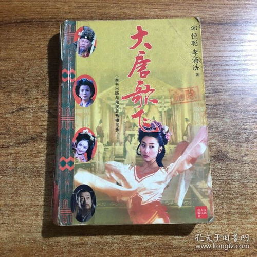 大唐歌飞