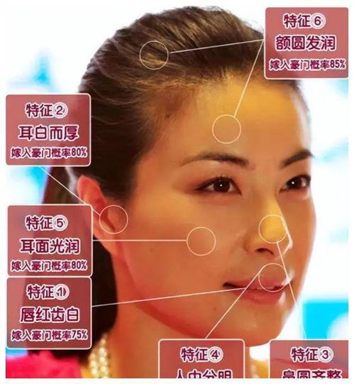 备战巴黎奥运的郭晶晶,面相都变了