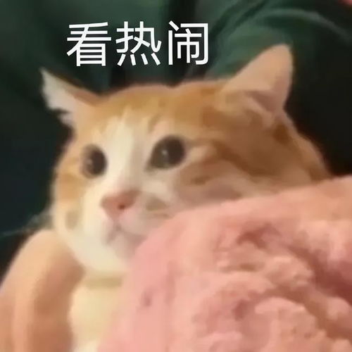 美女gucci老爹鞋发霉,送洗后没了半个c网友竟说她赚了