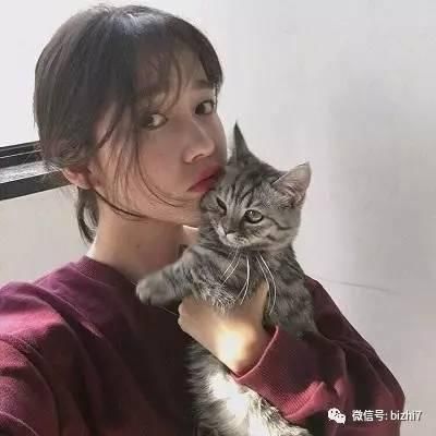 抱猫头像,微信头像女高清