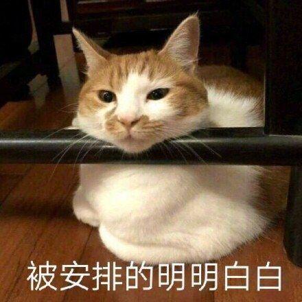 适合20岁女生佩戴的项链