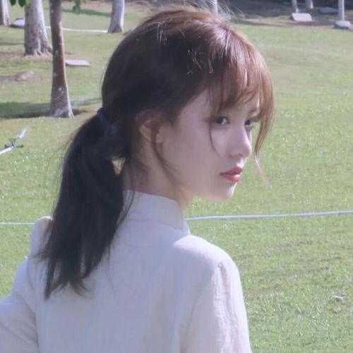 仙女专用优质女头