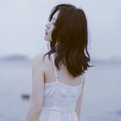 内向者第二弹内向的三大性格竞争力