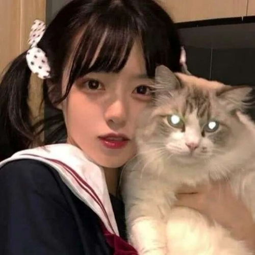 说一句你喜欢了很久的话吧
