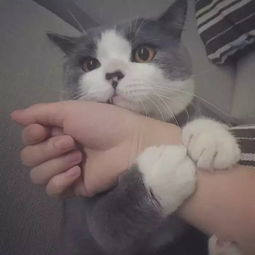 微信头像