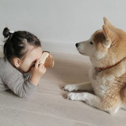 这个3岁女孩,和一条狗,突然就这样火遍全球