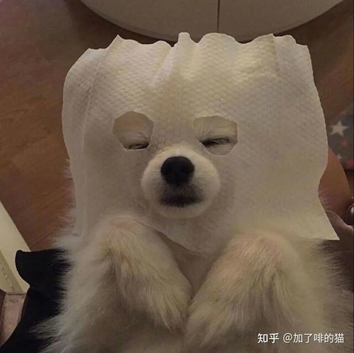 女生头像搞怪沙雕头像马宝