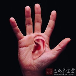 女人耳朵长这样旺夫能聚财