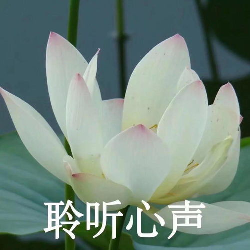 一家人头像快和相亲相爱全家人一起换