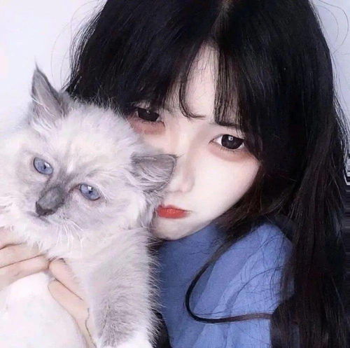 头像图片丨女生头像丨可爱的猫系女头1214