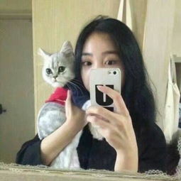 我喜欢你穷极所思可赴千里