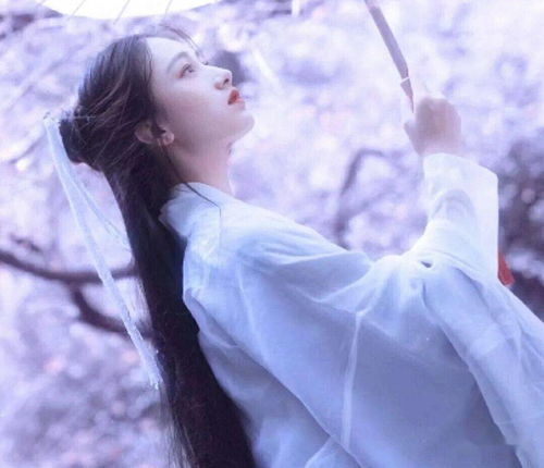 半生风情,痴我一生迷醉