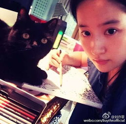 刘诗诗范冰冰刘亦菲杨幂唐嫣刘诗诗2016娱乐圈十大当红人气美女
