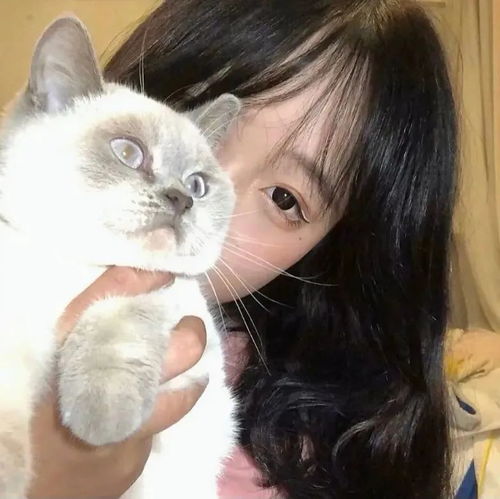 头像宝藏头像大全