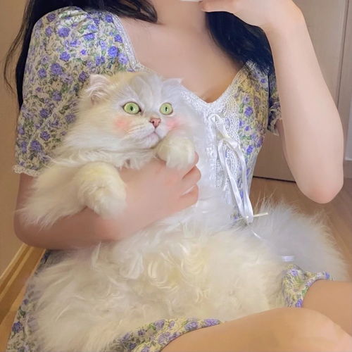 无标题