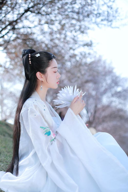 白衣古装美女清新脱俗古风摄影10