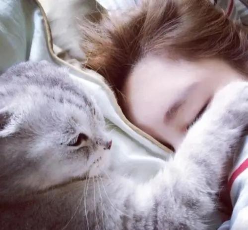 猫咪喜欢被人抱吗什么样的猫咪会让人抱呢铲屎官可以这样试试