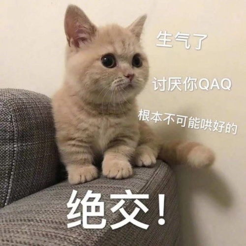 仙女专用可爱表情包可爱文案