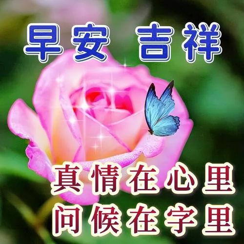 最新款清晨老同学早安问候集,吉祥如意绕心间