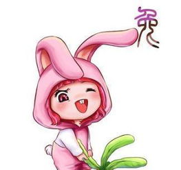 生肖猪明年的贵人生肖