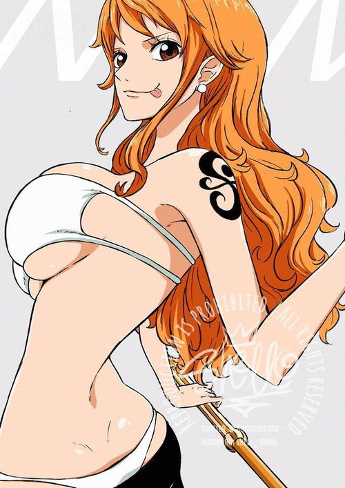 海贼王美女娜美篇15