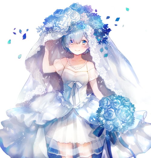 二次元老婆第十七期