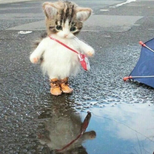 可爱打盹猫头像女生萌背带裤