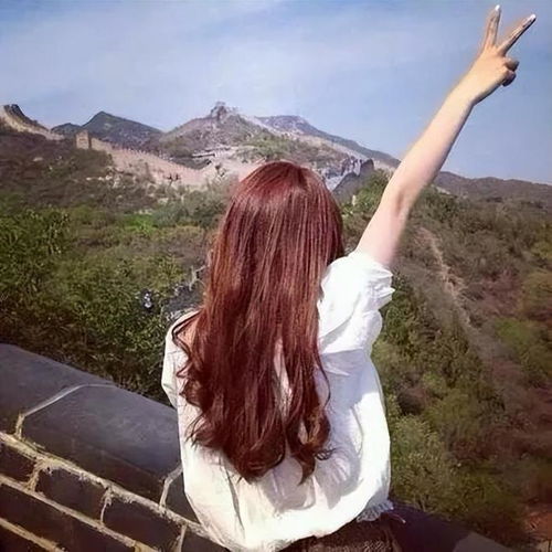小宝探花做过什么为什么这么受网友追捧