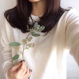 赵丽颖