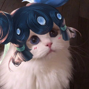 王者荣耀猫咪头像无水印大全男女英雄猫咪头像