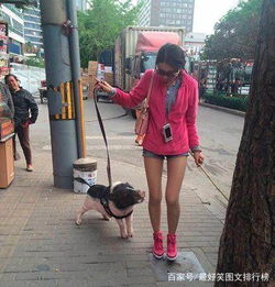 搞笑图片笑话段子你认为我哪一点比较漂亮