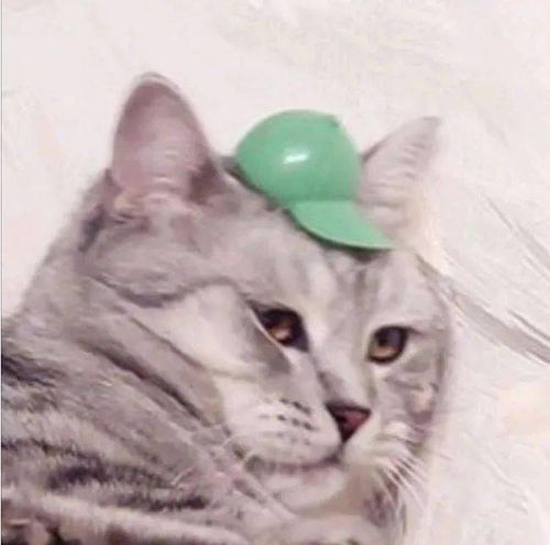 真人示范大脸女孩戴这些帽子才好看